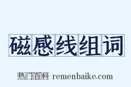 磁感线组词是什么意思的图片